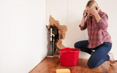 Emergency Plumbing Situations in Chula Vista: What to Do Before Help Arrives