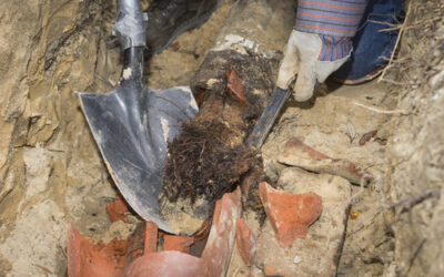 Recurring Sewer Backups in Chula Vista: Roots, Odors, or Line Damage?