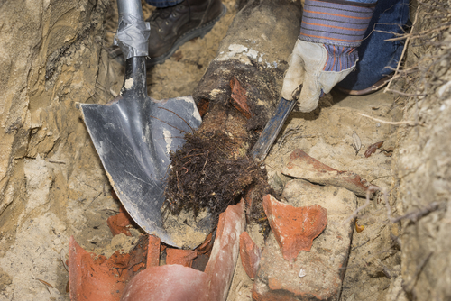 Recurring Sewer Backups in Chula Vista: Roots, Odors, or Line Damage?